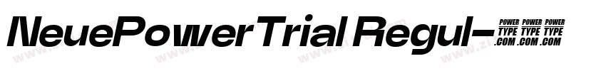 NeuePowerTrial Regul字体转换 NeuePowerTrial Regul字体转换